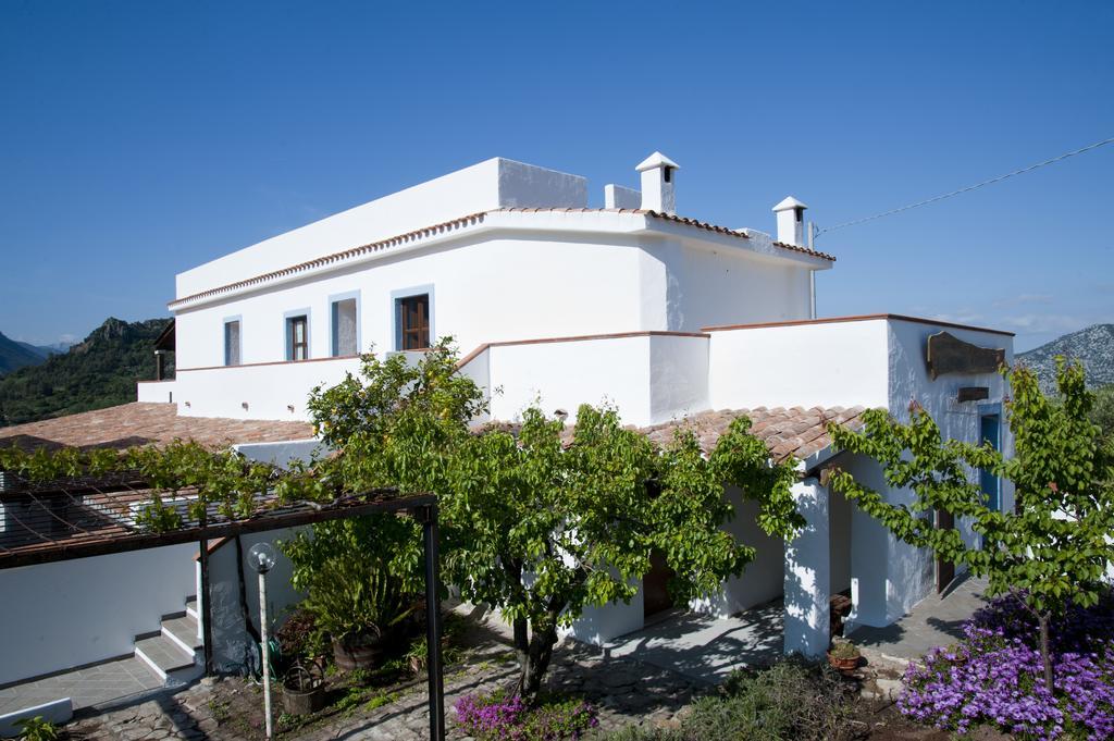Turismo Rurale Belvedere Pradonos Dorgali Esterno foto