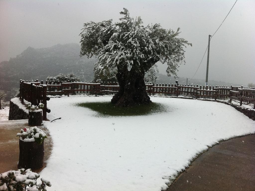 Turismo Rurale Belvedere Pradonos Dorgali Esterno foto